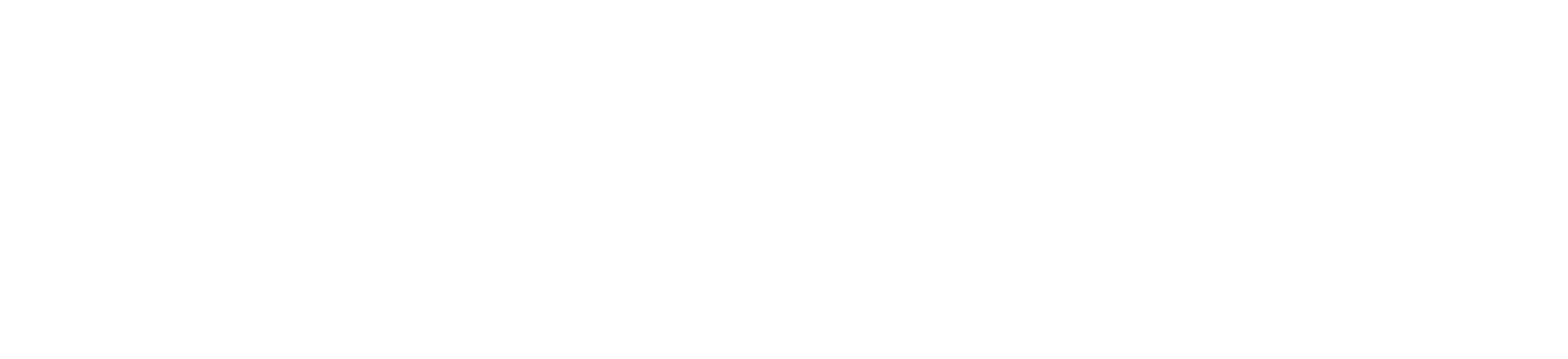Xylo Bikes